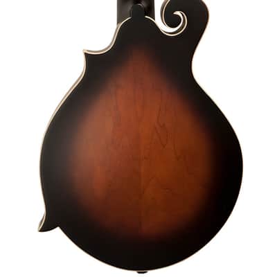 GOLD TONE F-12 F-style 12-string acoustic electric mandolin GUITAR new w/ CASE image 3