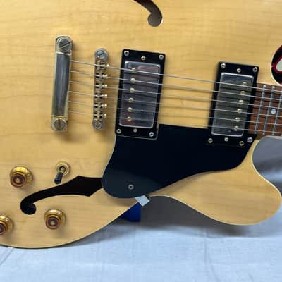 Epiphone Dot Deluxe Semi-Hollow Body Electric Guitar image 6