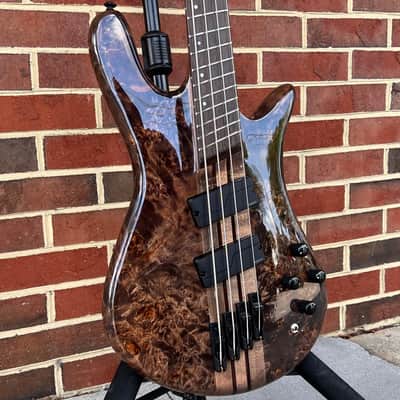 Spector NS Dimension 4, 4-String, Super Faded Black, Fishman Fluence Pickups & Preamp, Gig Bag image 3