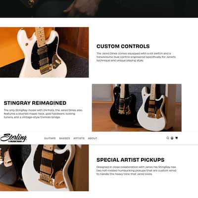 Boss SY-1000 & Sterling Jared Dimes Guitar -Combo image 12
