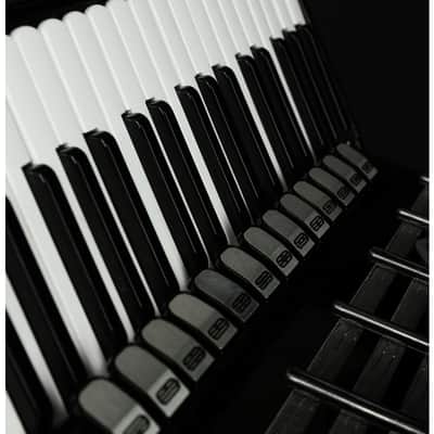 Weltmeister Cantus V 120 Bass Cassotto 5 chörig overhauled used image 9