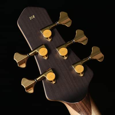 STR guitars LS549 - Burl Maple image 14