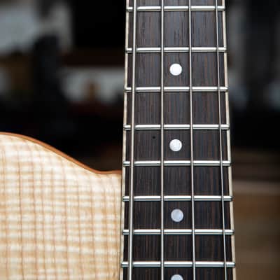 Solano Speed Shop 2025 969B-Coupe Ash Top Single Cut Bass image 12