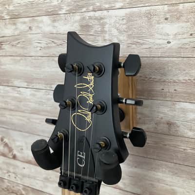 Used PRS Dustie Waring Signature CE 24 Floyd 2020 image 7