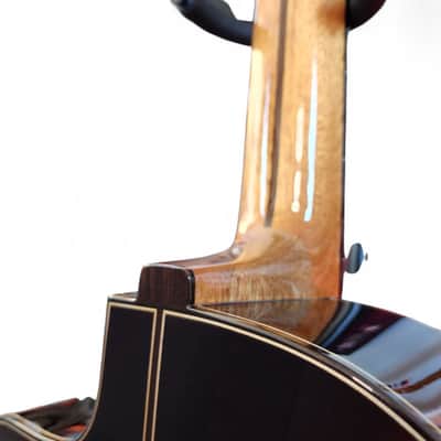 7-String Classical Nylon Guitar – Gayetana A77 | Full Scale 55mm Nut | Jazz / Latin / Extended Range - Cedar image 7