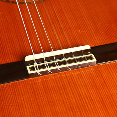 The Biggest Classical Guitar We've Ever Seen | Corujo's Gran Guitar by Raimundo & Aparicio - Check Video! image 13