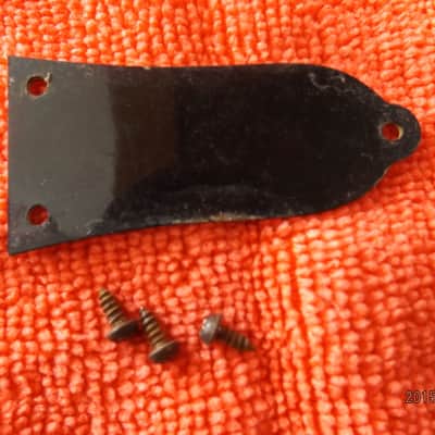 Gibson Dove 1975 truss rod cover image 2