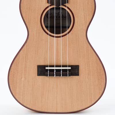 Cordoba 24T Tenor Spruce Ukuele image 5