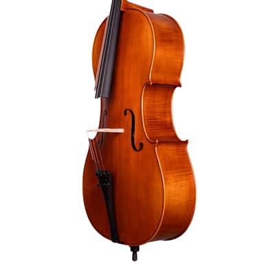 Great Stradivari Cello 4/4 from Flamed Maple - Hand-Made in Romania 2025 #59 image 11