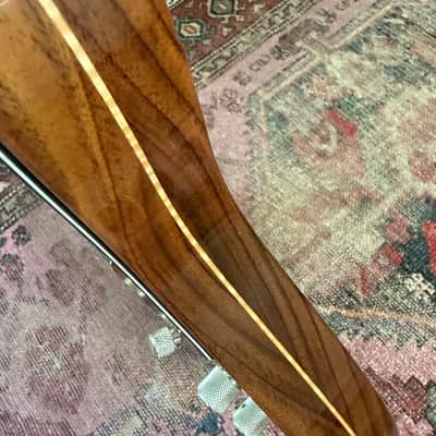 Rutters All Rosewood Telecaster image 9
