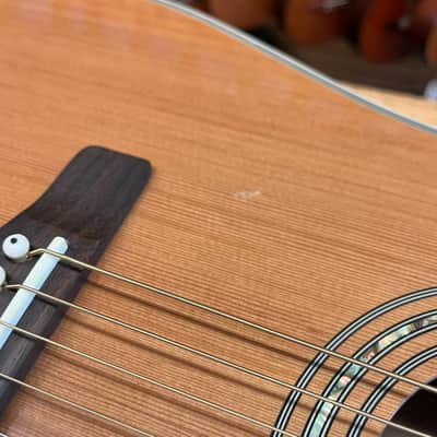 Greg Bennett by Samick D-7 Dreadnought Acoustic Guitar image 4