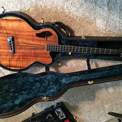 TACOMA THUNDERCHIEF ACCOUSTIC BASS image 4