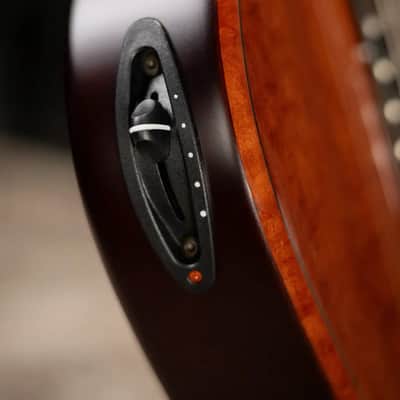 Taylor Custom Shop T5z Custom #C0960 Figured Ironbark/Shamel Ash Hollow Body Electric Guitar with Hardshell Case image 9
