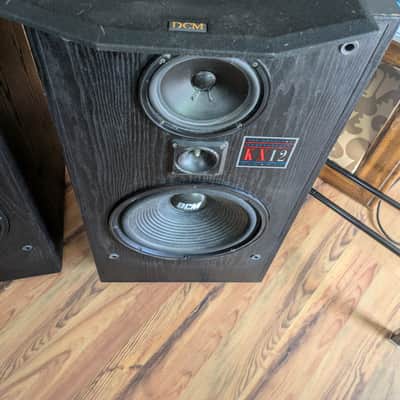 DCM KX-12 - Pair - 12” Woofer Speakers, 250 Watts Per Speaker image 3