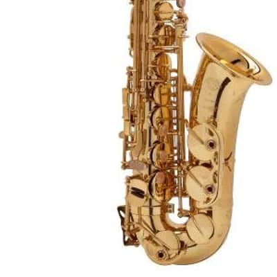 Selmer-Paris Series II Model 52 Jubilee Edition Professional Alto Saxophone - Gold Lacquer image 3
