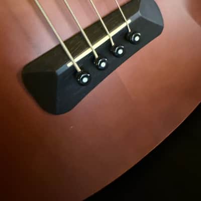 Spector Timbre 2010s - Walnut image 7