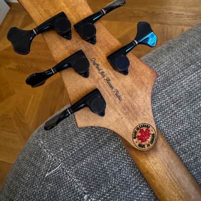 F Bass BN5, brand new with waterproof ATA road case image 7