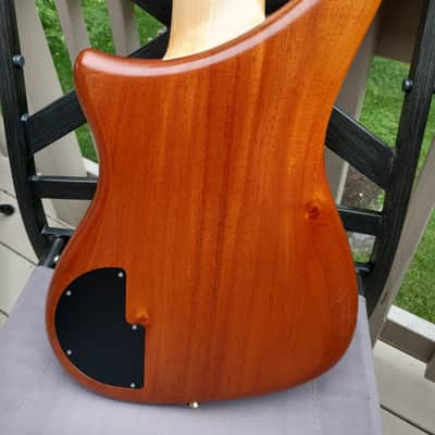 Alembic Epic 6 String image 7