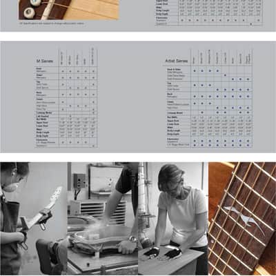 Seagull Mosaic CW Mahogany & Cedar Artist Series Aged Cutaway Beauty! image 21