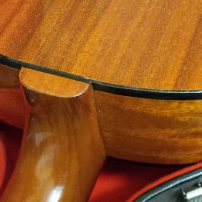 1962 Epiphone EC100 Seville Classical Guitar Kalamazoo Michigan image 16