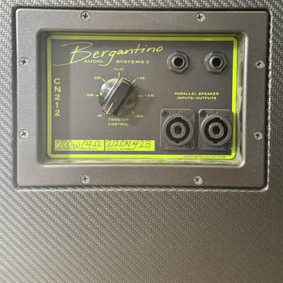 Bergantino CN212 2015 - Black Carbon/Tolex image 3