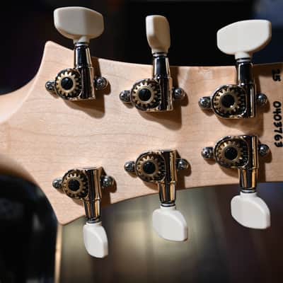 PRS Swamp Ash Special - Jasper Smokeburst #3763 image 10