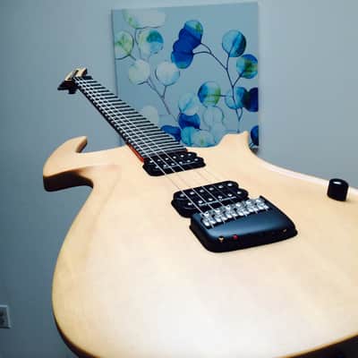 Parker Fly Artist, Custom (Odin) image 13