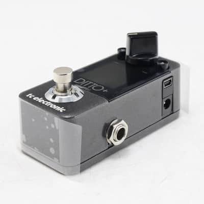 Tc Electronic Ditto+ Looper [S200700280 Dlq] (07/31) image 5