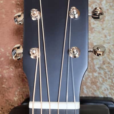 Eastman E1D-Special image 5