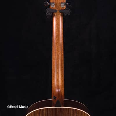 Taylor Gold Label 714e SB Super Auditorium w/HardCase | LR Baggs Element VTC Electronics | Fanned V-Class Bracing | Action Control Neck (Mint Demo Unit) image 15