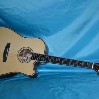 Cort MR-AS4 Acoustic Electric, Fishman Prefix Plus-T, Cort Hard Shell Case image 4