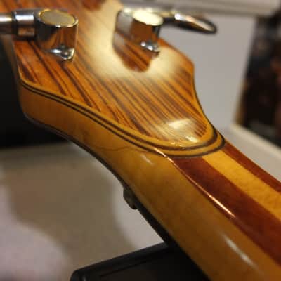 Alembic Series 1 SSB JC 1970's Natural Left-Handed Conversion image 16
