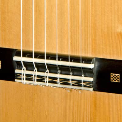 Robert B Desmond "Steinway" Especial Model French Polish image 8
