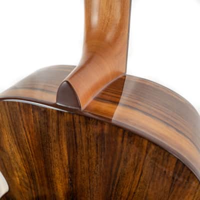 Washburn BTS9CH Bella Tono Novo S9 Studio Body Acoustic Guitar, Gloss Charcoal Burst image 11