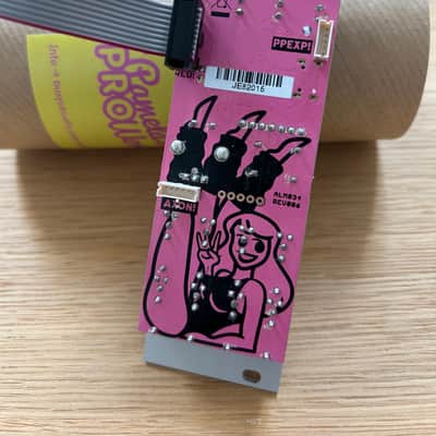 ALM/Busy Circuits ALM034 Pamela's Pro Workout Clocking Modulator Eurorack Synth Module 2022 - Present - Silver image 3