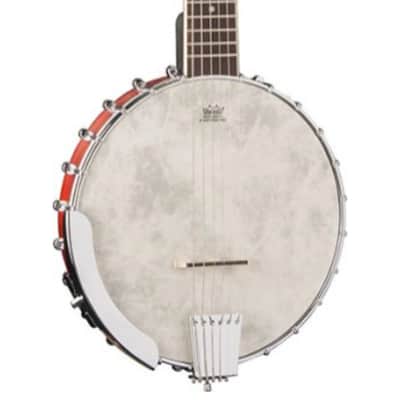 Washburn B6 Banjo image 2