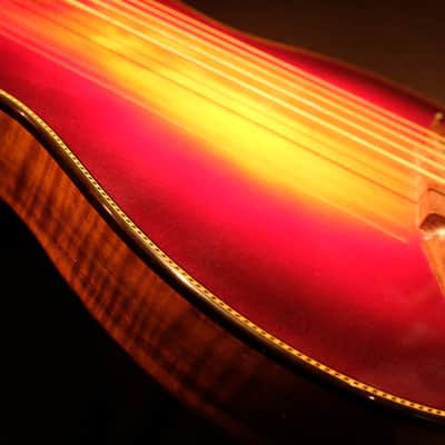 Rick Turner Renaissance  5 String Acoustic Electric Fretless Bass (RB 5-FL) Cherry Sunburst image 13