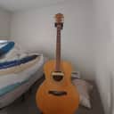 Rare Eastman Archback jumbo