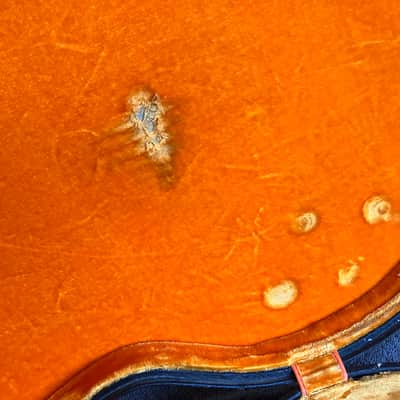 Ess & Ess guitar case image 19