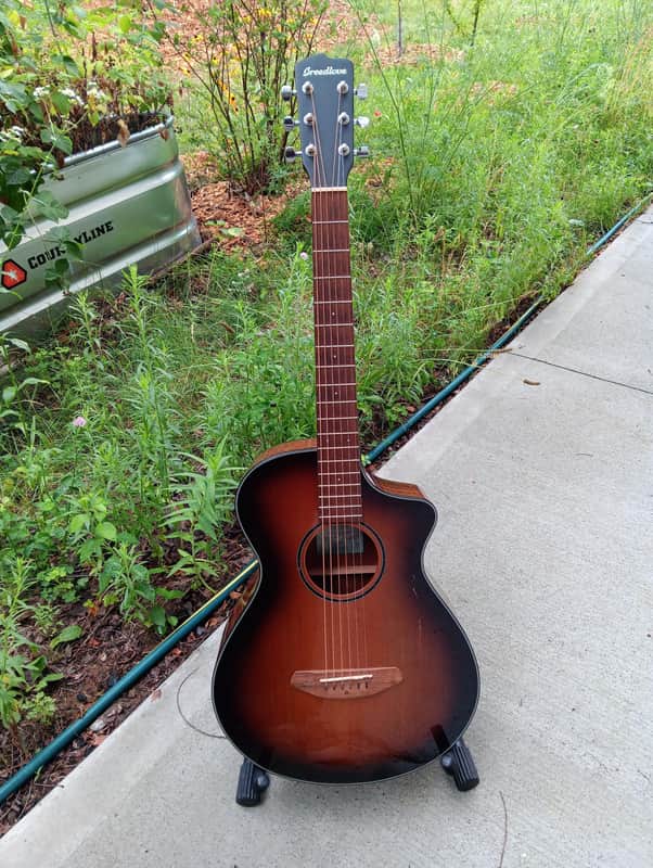 Breedlove Acoustic-Electric Guitar - Discovery Series image 1
