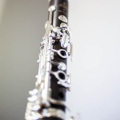 Buffet R13 Prestige Bb Professional Clarinet image 12