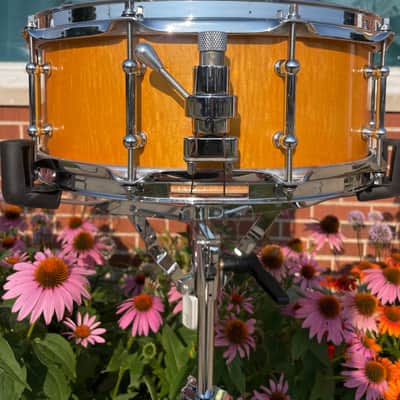 Maelo Drums 5th Anniversary Curly Maple 5.5x14 Snare Drum image 4
