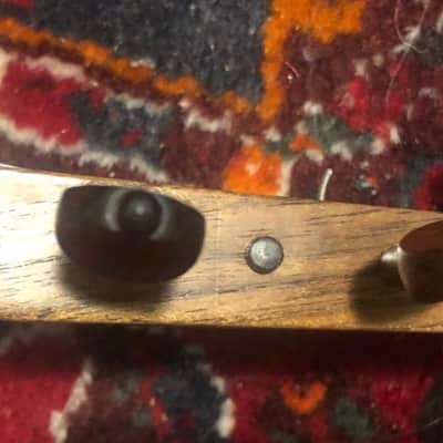Lars Torressen Colascione Bass Lute 2020 image 12