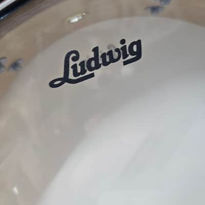 Ludwig Classic Maple 2026 - Vintage Black Oyster image 14
