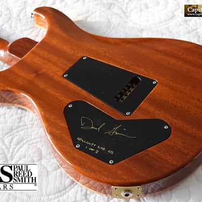 2010 PRS Wood Library DGT DGT 2010 - Copperhead 1 Piece Top image 19