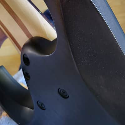Ibanez RG9PB 2022-Present - Poplar Burl Bild 5