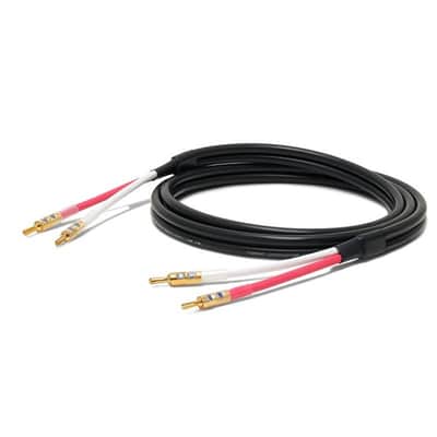 Oyaide ACROSS3000 SGB/3.0m (Speaker cable with banana plug terminals) image 2
