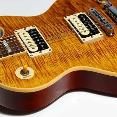 2010 Gibson USA Slash AFD Appetite For Destruction Les Paul Standard | Signature Model Minty image 23