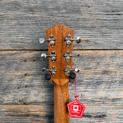Godin Century Maho Acoustic-Electric Guitar - Natural w/Bag image 8