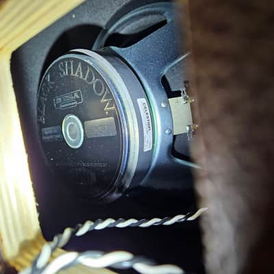 Mesa Boogie Lonestar 2x12 - Tweed image 6